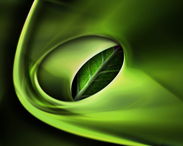 Green leaf green background green free wallpaper - medium preview image