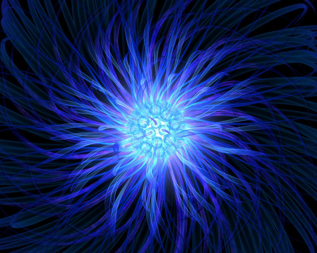 Blue flower black background bioluminescence free wallpaper - medium preview image