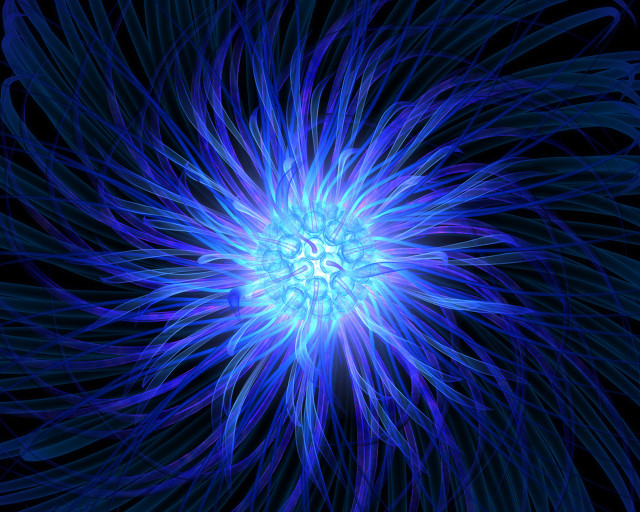 Blue flower black background bioluminescence #3 free wallpaper - medium preview image
