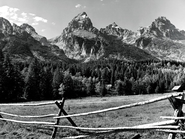 Wooden fence mountains trees blackwhite free wallpaper - medium preview image