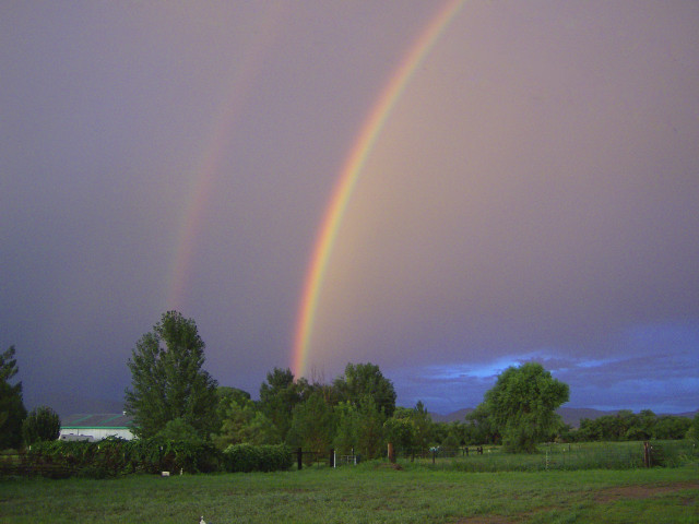 Double rainbow field grass trees #5 free wallpaper - medium preview image