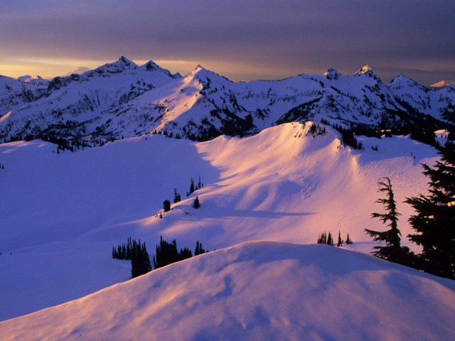 Snowy mountain trees sunset purple #2 free wallpaper - medium preview image