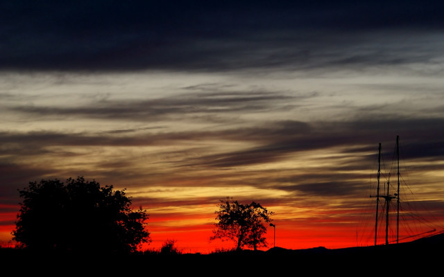 Sunset sailboat tree red sky #2 free wallpaper - medium preview image