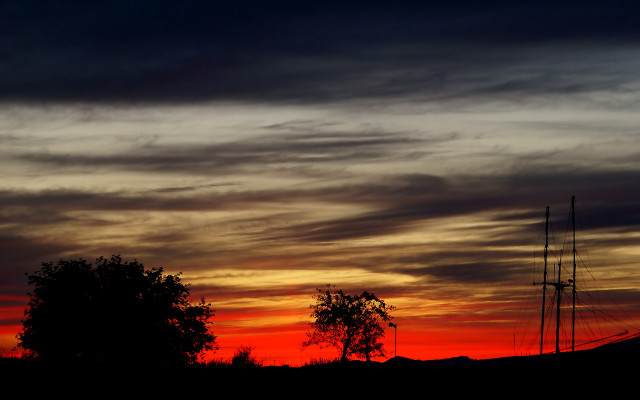 Sunset sailboat tree red sky #3 free wallpaper - medium preview image