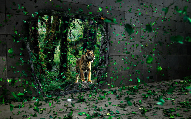 Tiger mirror green leaves confetti #3 free wallpaper - medium preview image