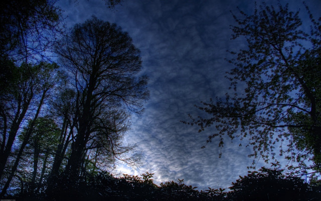 Blue sky clouds trees foreground #7 free wallpaper - medium preview image