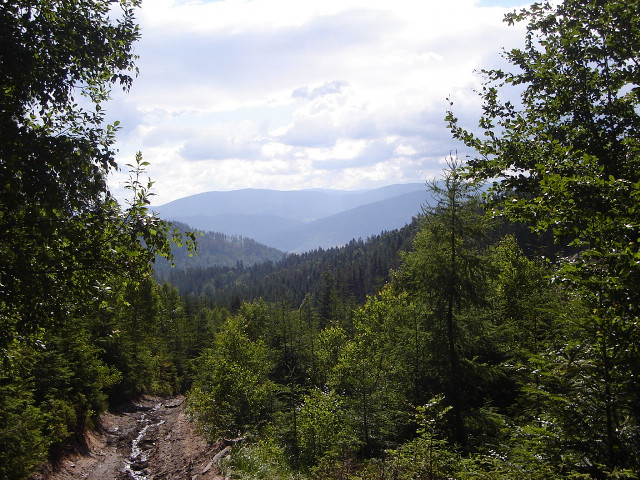 Dirt road trees mountains sky #3 free wallpaper - medium preview image