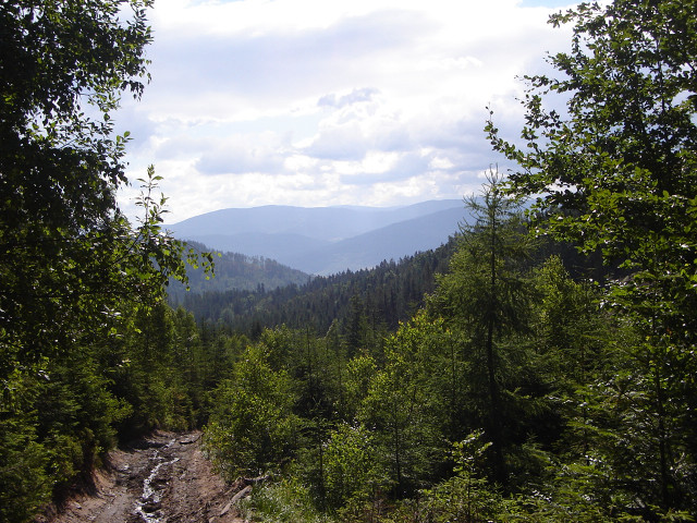 Dirt road trees mountains sky #2 free wallpaper - medium preview image
