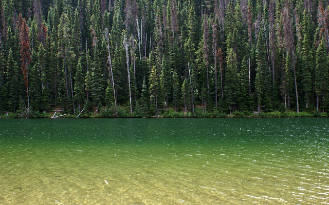 Lake trees forest boat person #2 free wallpaper - medium preview image