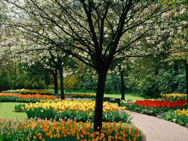 Park path flowers tree nature #2 free wallpaper - medium preview image