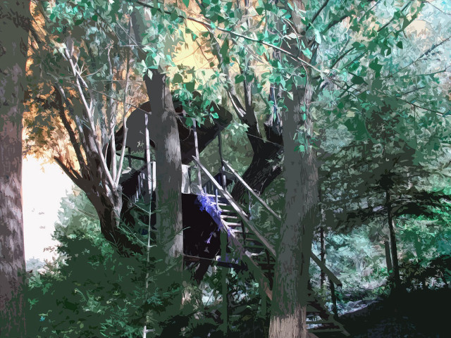 Tree house woods stairs person #2 free wallpaper - medium preview image