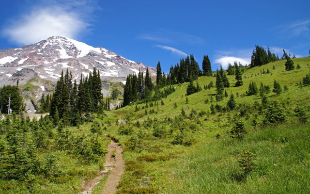 Grassy meadow trail mountain trees free wallpaper - medium preview image