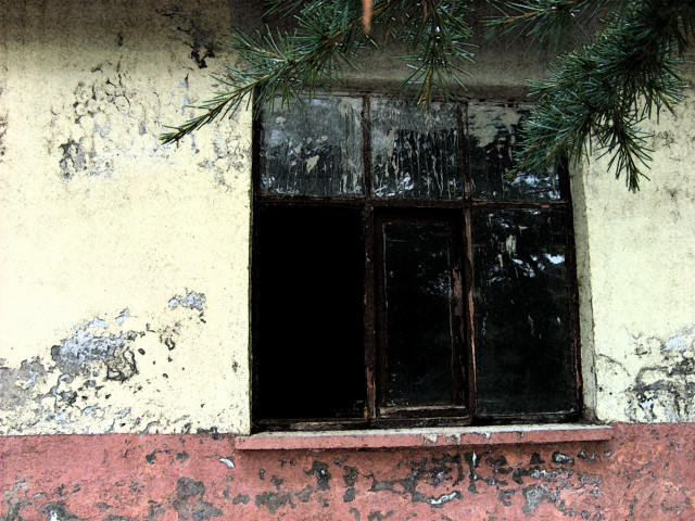 Window pine branch red wall #6 free wallpaper - medium preview image