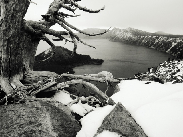 Black white tree snow rocks free wallpaper - medium preview image