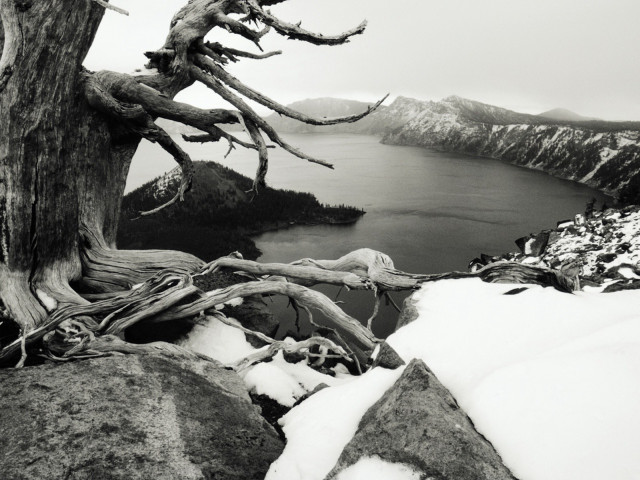 Black white tree snow rocks #2 free wallpaper - medium preview image