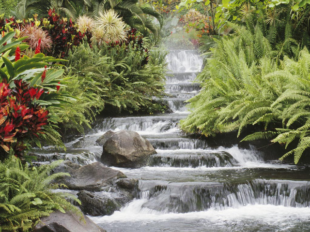 Stream lush vegetation flowers garden free wallpaper - medium preview image