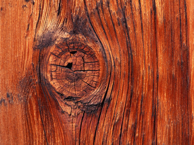 Wood texture hole middle nature #2 free wallpaper - medium preview image