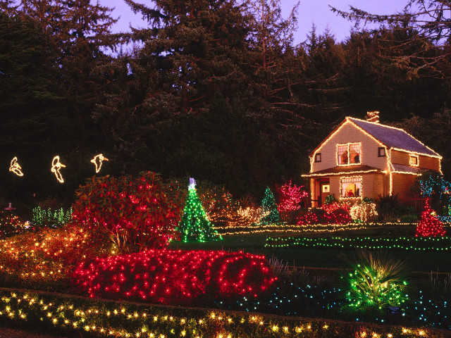 House christmas lights trees ground free wallpaper - medium preview image
