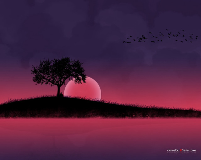 Tree hill sunset birds flying free wallpaper - medium preview image