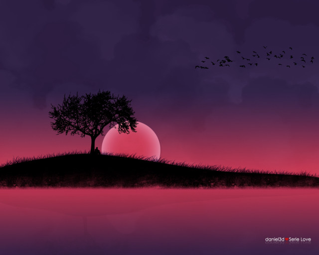 Tree hill sunset birds gothic free wallpaper - medium preview image