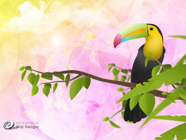 Colorful bird perched branch tree #7 free wallpaper - medium preview image