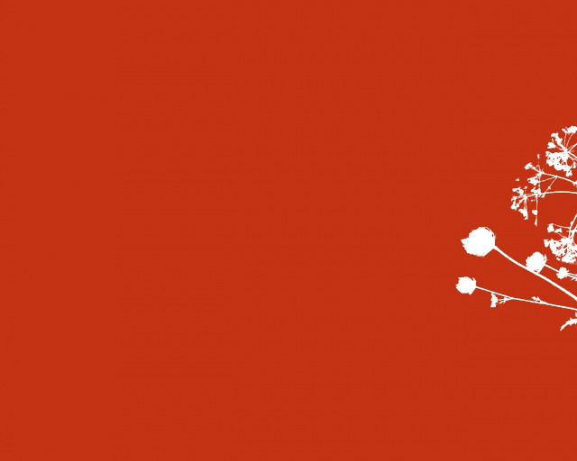 White tree red background bird free wallpaper - medium preview image