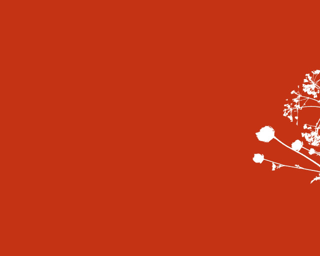 White tree red background white #2 free wallpaper - medium preview image