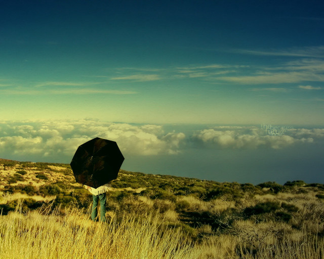 Person umbrella field sky clouds #3 free wallpaper - medium preview image