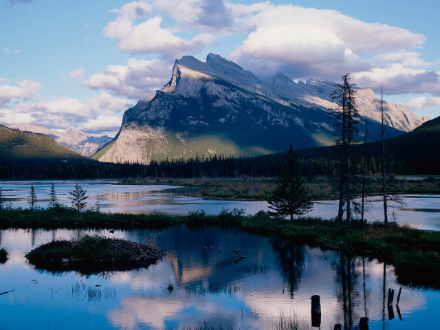 Mountain range lake forest background free wallpaper - medium preview image