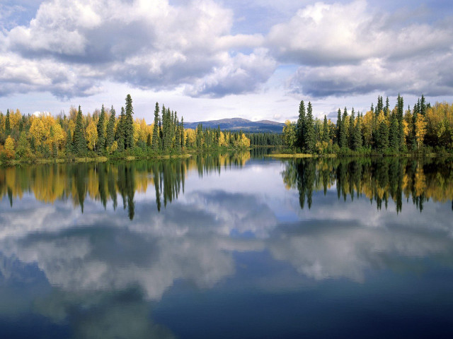 Lake trees clouds forest yellow free wallpaper - medium preview image