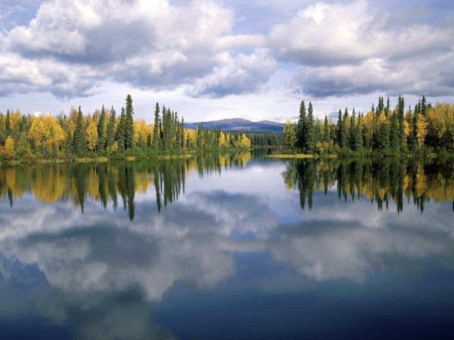Lake trees clouds forest background #2 free wallpaper - medium preview image