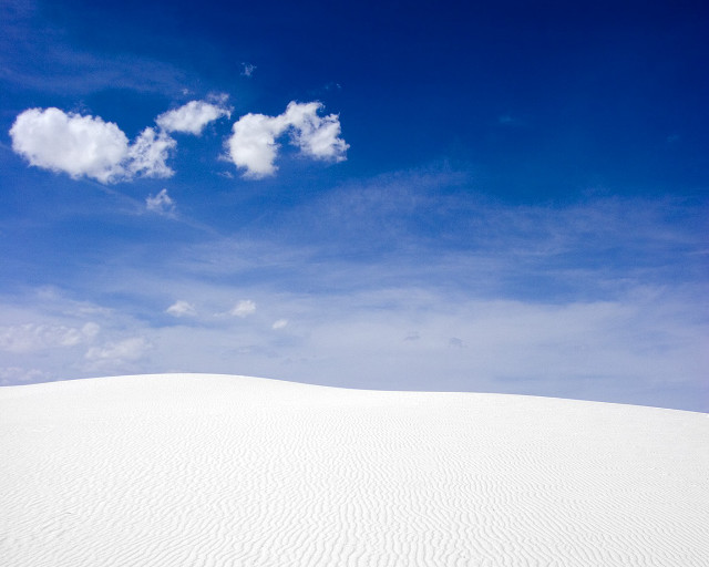 Lone tree white sand dune free wallpaper - medium preview image