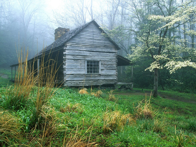 Log cabin forest foggy sky free wallpaper - medium preview image