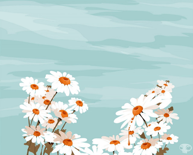 Daisies vase table blue background #2 free wallpaper - medium preview image