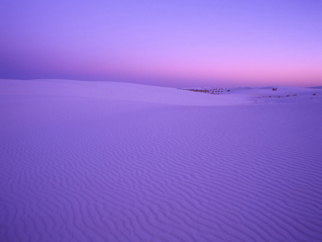 Purple sky sand dunes trees #3 free wallpaper - medium preview image