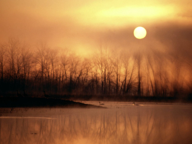 Water trees sun sky clouds free wallpaper - medium preview image