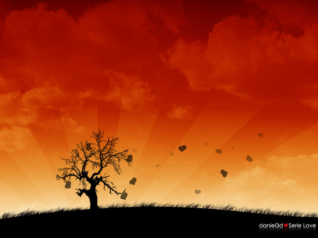 Tree sky sunburst butterflies red free wallpaper - medium preview image