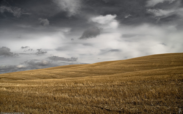 Wheat field cloudy sky lone #2 free wallpaper - medium preview image