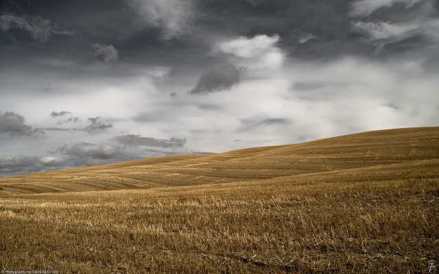 Wheat field cloudy sky lone #3 free wallpaper - medium preview image