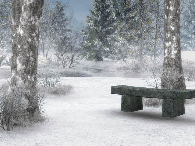 Snowy park bench forest cherry free wallpaper - medium preview image