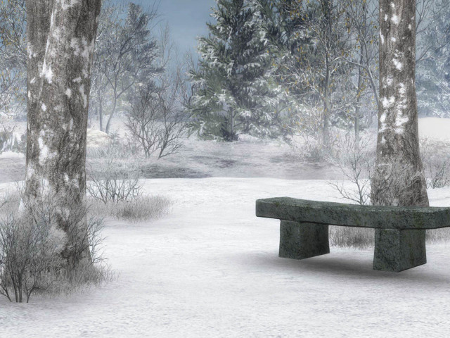 Bench snowy park trees cloudy free wallpaper - medium preview image
