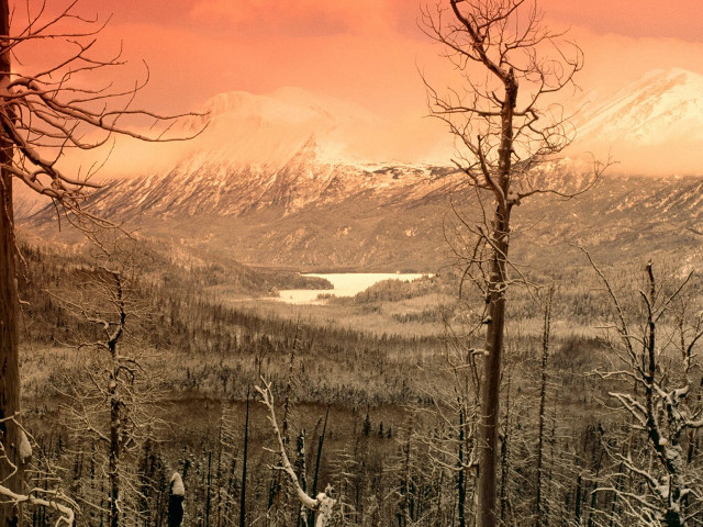Snowy mountain lake trees red free wallpaper - medium preview image