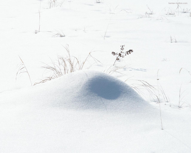 Snowboarder hill snow board shadow free wallpaper - medium preview image