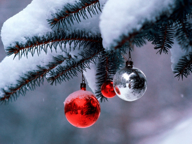 Ornaments hanging pine tree snow free wallpaper - medium preview image