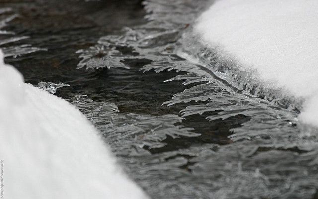 Stream snow forest ice flakes free wallpaper - medium preview image