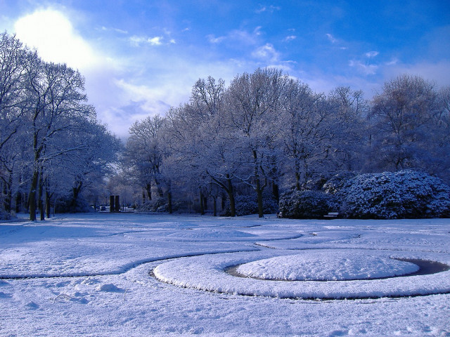 Circular snow path park trees #2 free wallpaper - medium preview image