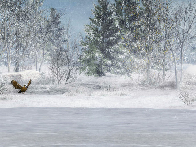 Snowy landscape bird flying snow free wallpaper - medium preview image