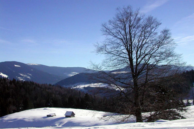 Snowy landscape tree mountains blue #3 free wallpaper - medium preview image