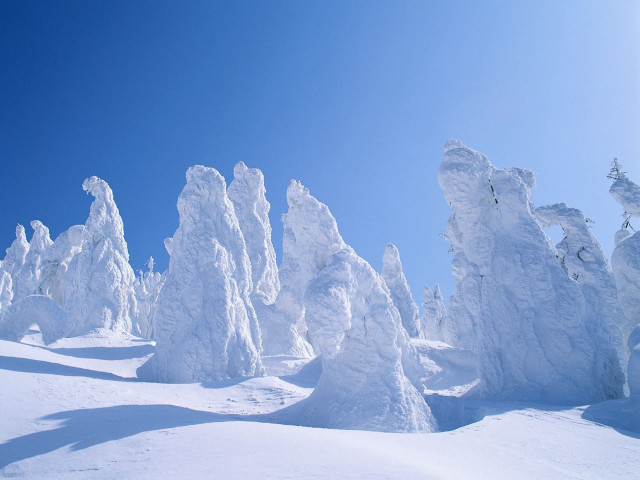 Snowboarder hill snow trees bushes free wallpaper - medium preview image