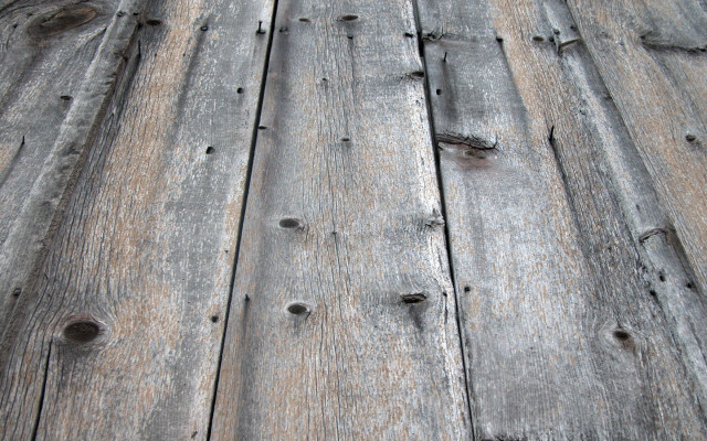 Wooden floor bird back bird #2 free wallpaper - medium preview image